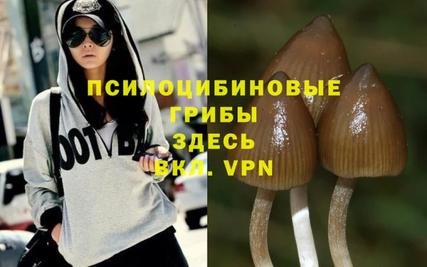 марки nbome Арсеньев