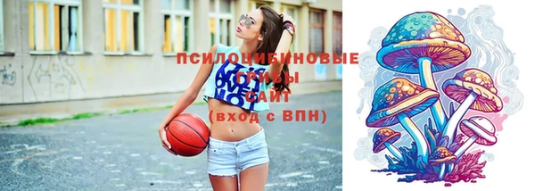 дмт Армянск