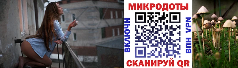 Галлюциногенные грибы мухоморы  Спас-Клепики 